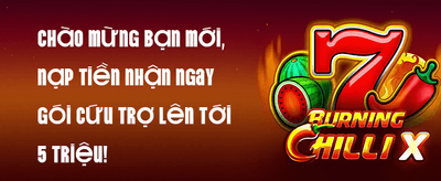 Ưu Đãi Nạp VIP promotion